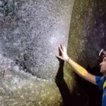 "La Gigantesca Telaraña Europea: Un Abismo de Fibra que Reúne a Más de 100 Mil Arachnids en una Asombrosa Conexión Natural"