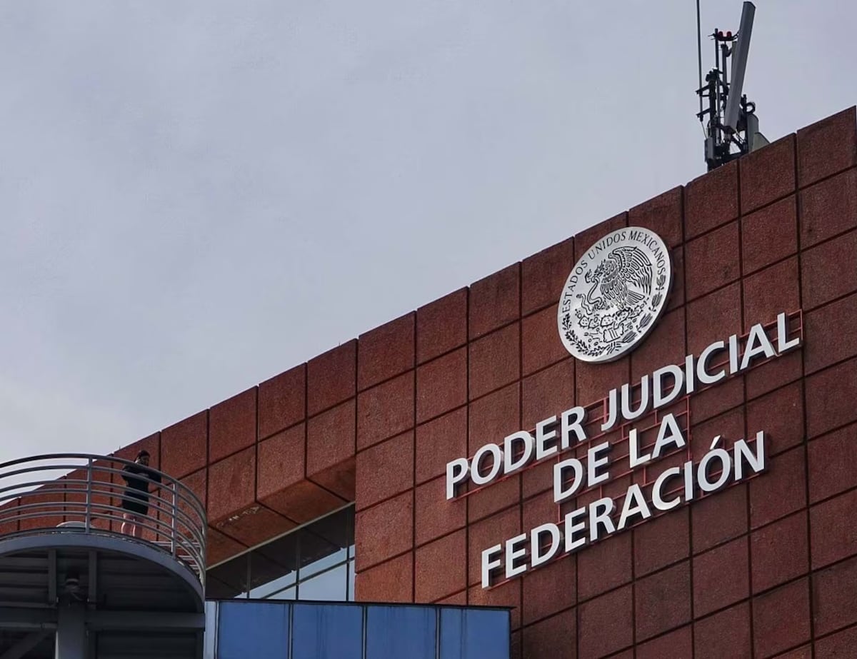 Extorsión en la licitación pública: empresas denuncian presiones ilícitas desde el PJF y demandan justicia