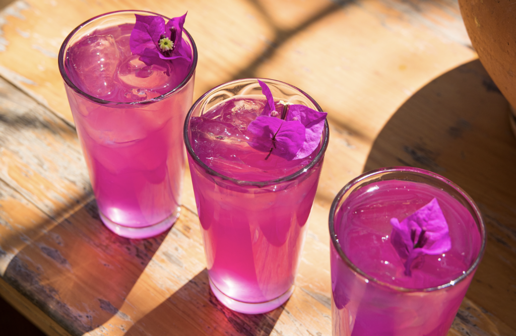 La Revolución del Sabor: cómo las bebidas auténticas de Oaxaca están cambiando el mapa del mundo del emprendimiento cultural