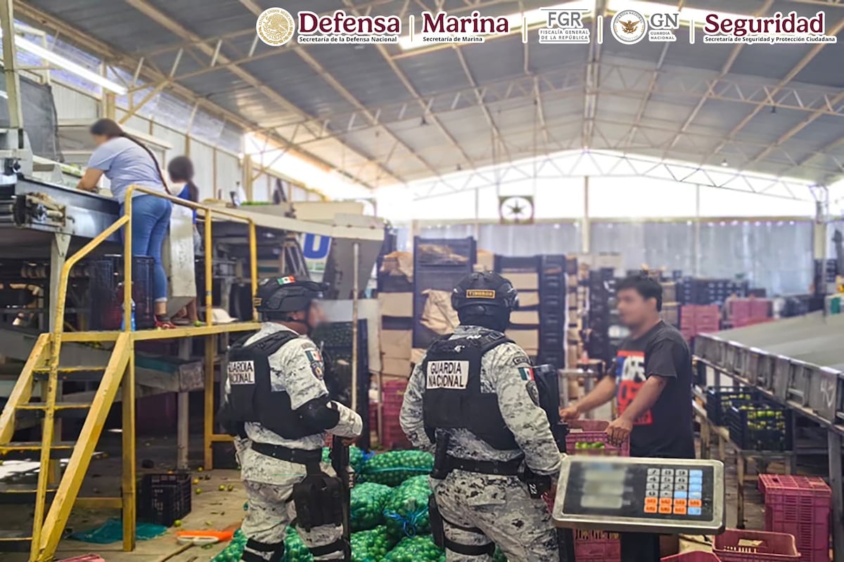 Michoacán en el punto de mira: Operación Antimafia desarma a banda criminal que controlaba la región con 27 armas letales.