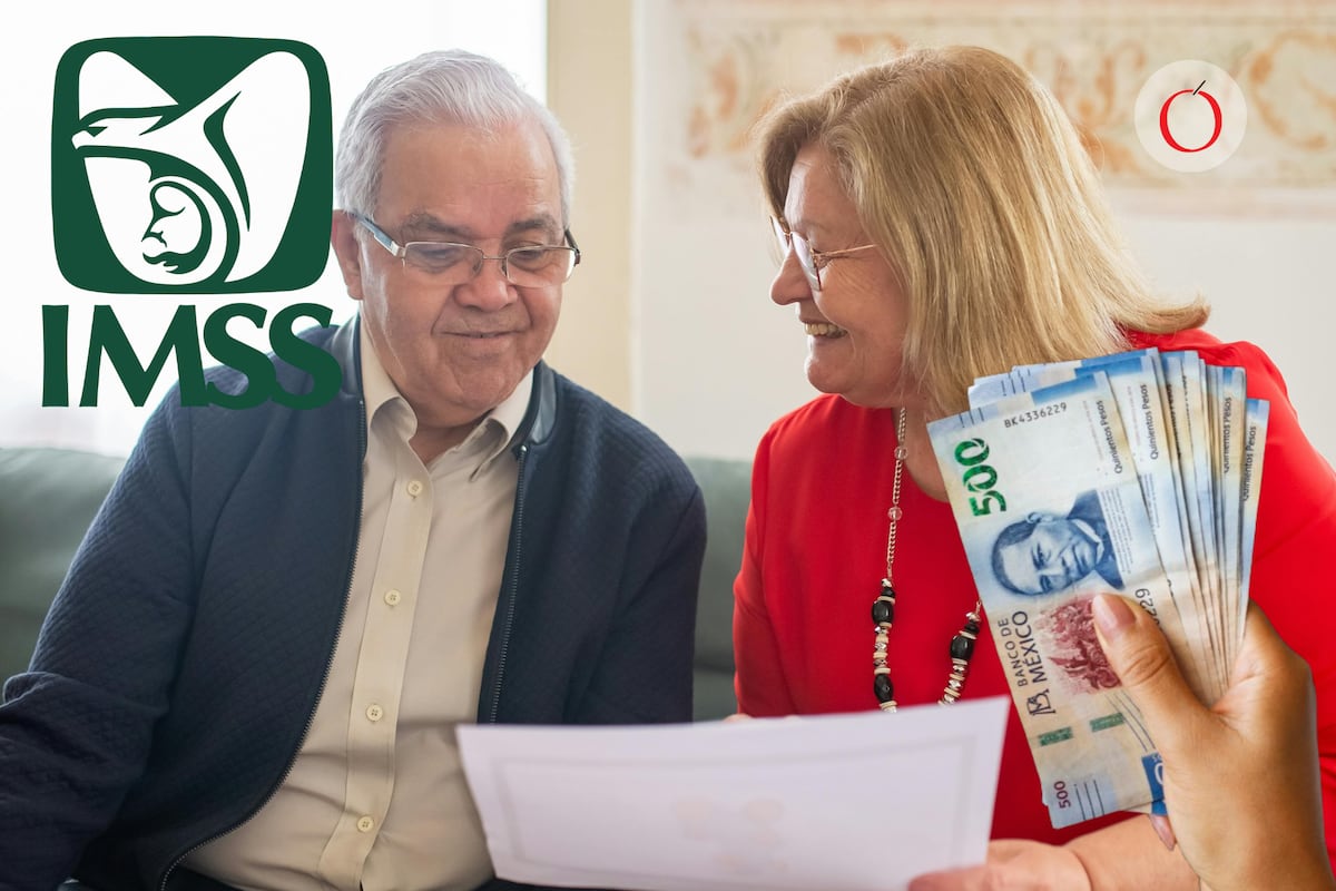 "¿Qué Necesitas Saber sobre la Nueva Modalidad 40 del IMSS 2026? Regístrate con Éxito en 5 Pasos Fáciles"